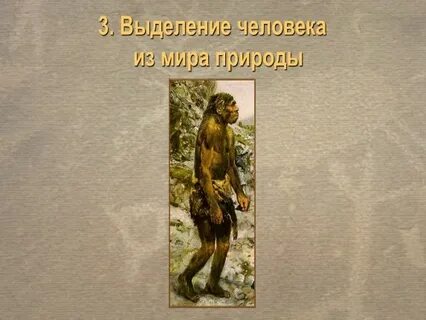 Виды первых людей на земле