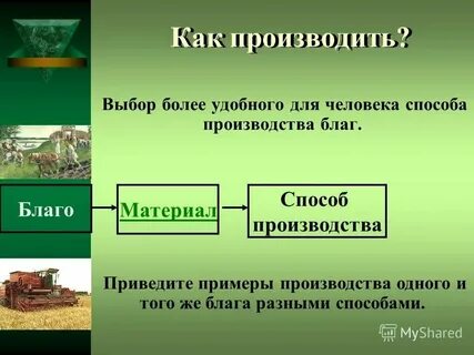 Что она производит