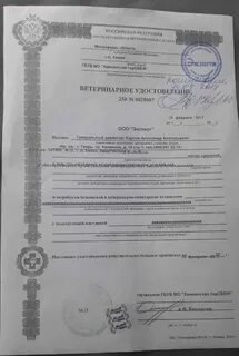 Усыпление на дому москва