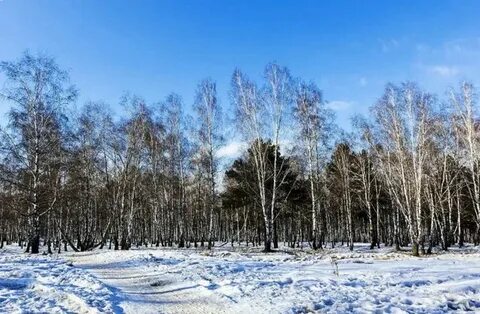 Несколько март