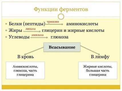 Липиды обладают ферментативными функциями
