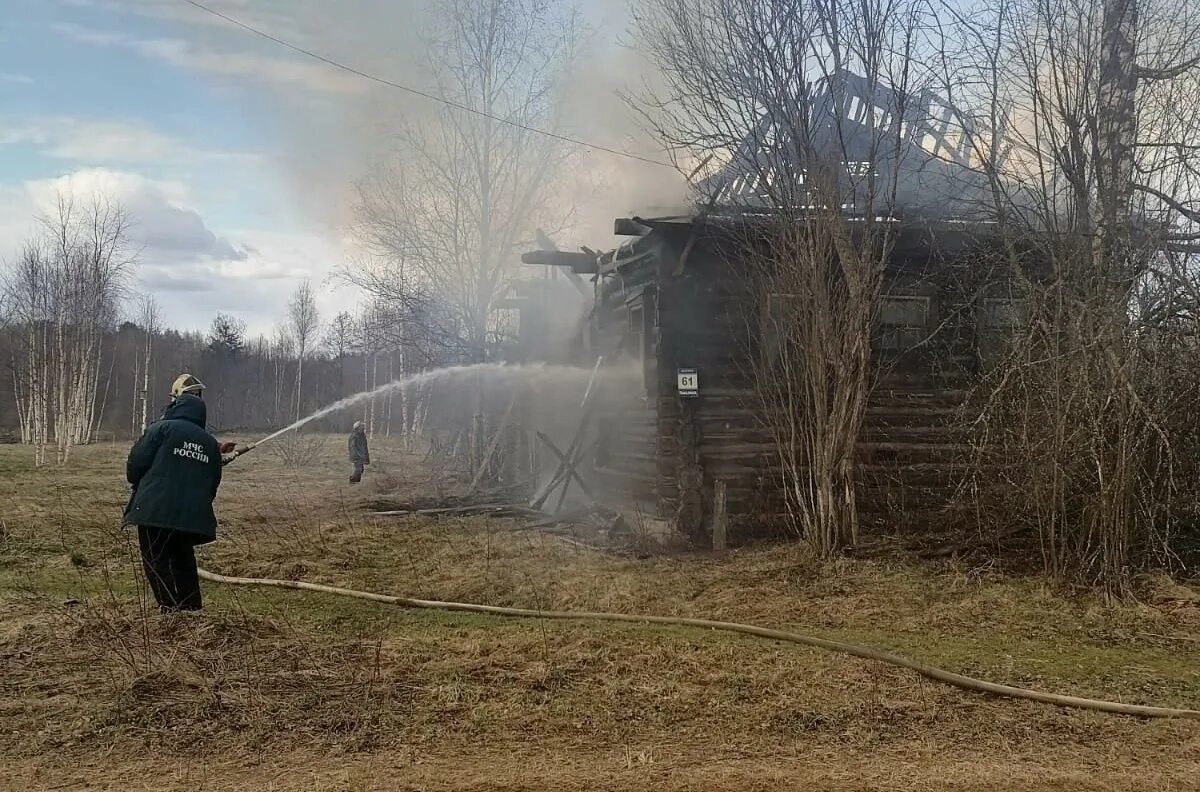 Новгородская область 2019. Пикалиха Пестовский район Новгородская область. Деревня Пикалиха Новгородской области. Деревня Божонка Великий Новгород. Деревня Марьино Новгородская область.