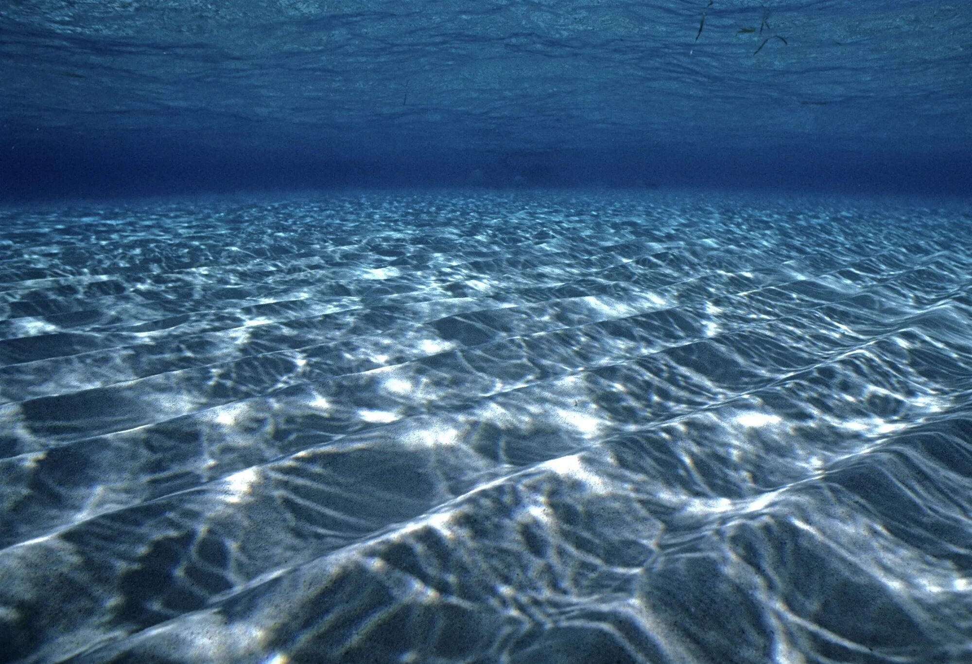 Верхние толщи воды. Дно океана. В толще воды. Мировой океан. Дно мирового океана.