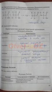 Решебник по биологии 9