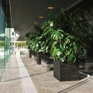 Plant hotel