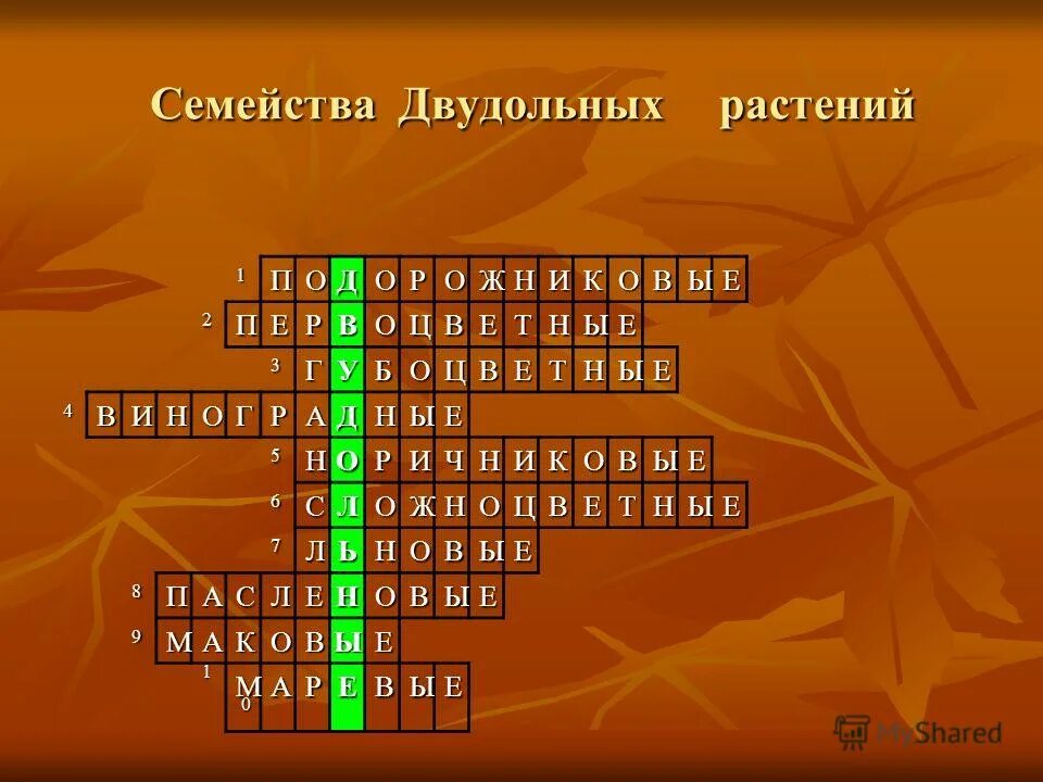 Кроссворд по биологии цветок