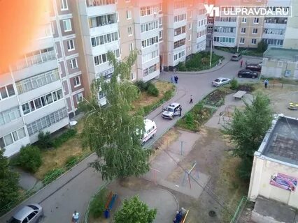 Двор выпасть