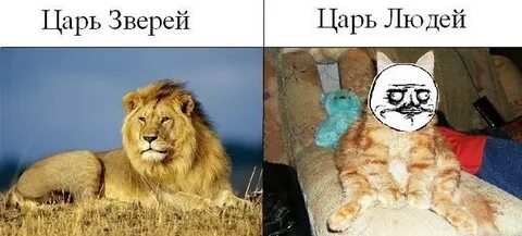 Кто настроет 4 тонны