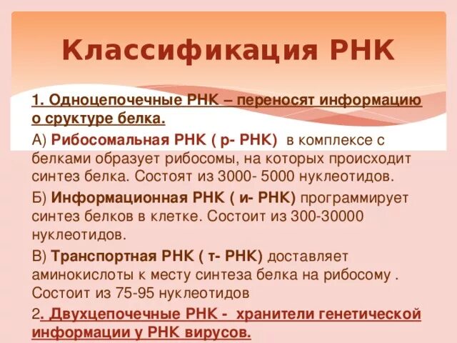 Классификация РНК. Классификация и функции РНК. Классификация РНК таблица.