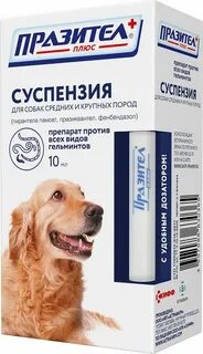 От глистов собаке мелких пород