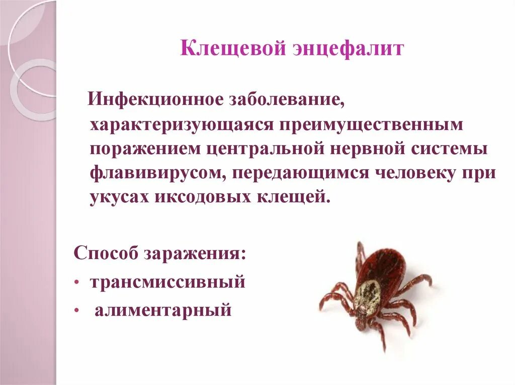 Энцефалит что это за болезнь. Клещевой энцефалит симптомы поражение ЦНС. Инфекционные заболевания нервной системы клещевой энцефалит. Клещи иксодовые клещевой энцефалит. Заражение человека клещевым энцефалитом.