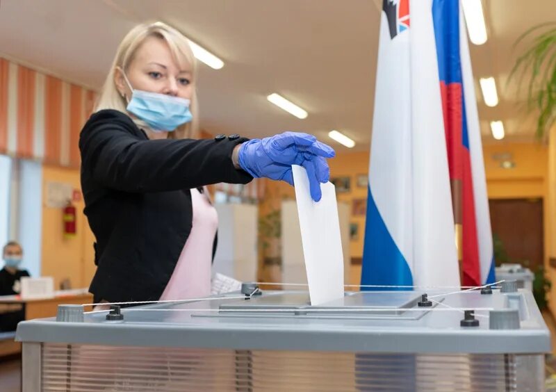 Выборы в сентябре фото Новости