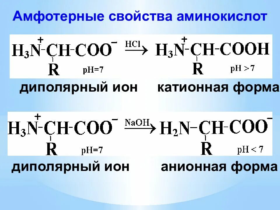 Амфотерные свойства аминокислот. Диполярная форма аминокислоты. Аланин проявляет амфотерные свойства