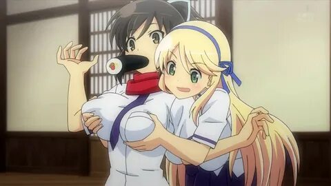 Senran Kagura Anime Total Boob Anime.