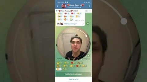 Номер телефона жени лизогуб настоящий