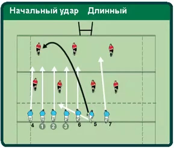 Игроки в защите и в нападении. Регби 7 расстановка игроков на площадке. Позиции игроков в регби. Регби расположение игроков. Расположение игроков в регби 7.