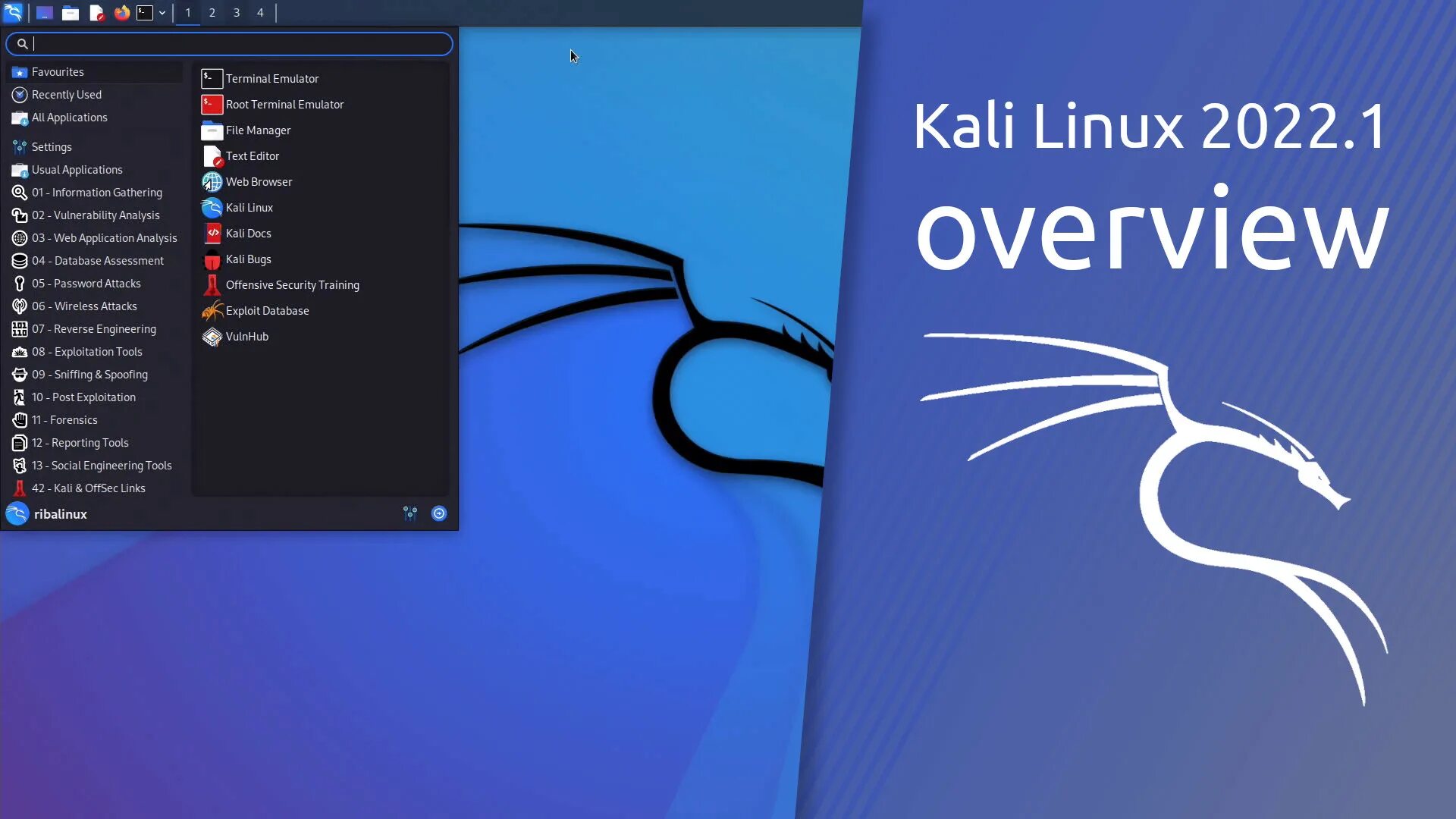 Kali linux интерфейс. Kali linux 2025.1. linux 2025. кали линукс 2025. kali linux 2025.4.