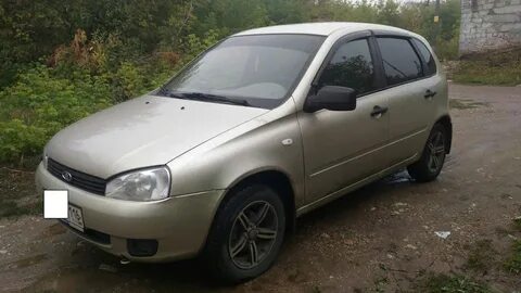 Калина дыня