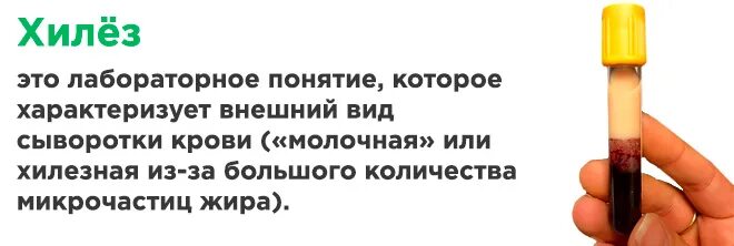 Причина хилеза сыворотки крови. Хилёзная сыворотка крови что это. Хилёзная сыворотка крови причины. Хилёзная сыворотка причины.