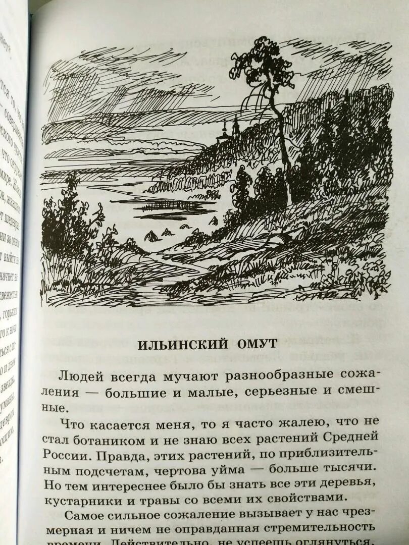 Паустовский Мещерская сторона. Паустовский Мещерская сторона иллюстрации. Мещёра Паустовский. Мещёрская сторона Паустовский читать.