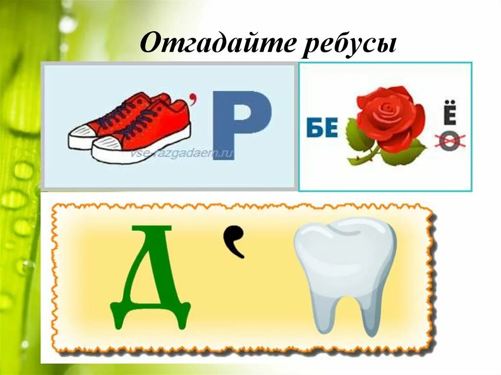 Ребус по фото. Ребусы по экологии. Экологические ребусы. Ребусы с буквой р. Ребус на слово природа.