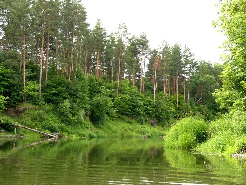 Река поим. Воронинский заповедник Тамбовской. Река ворона Воронинский заповедник. Река ворона заповедник Тамбовская область. Заповедник в Тамбовской обл. Воронинский.