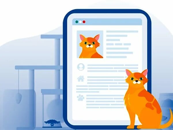 Мой питомец совхозная 2. Мой питомец совхозная 2