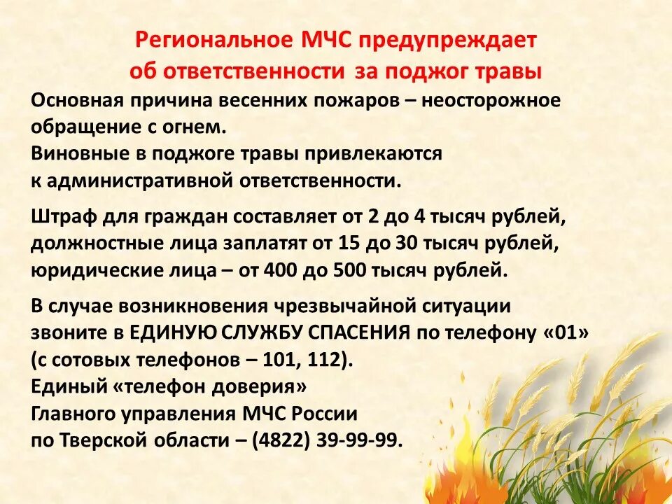 какая статья за поджог моря