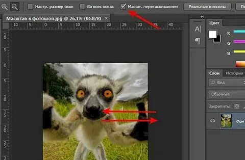 Масштабирование в фотошопе