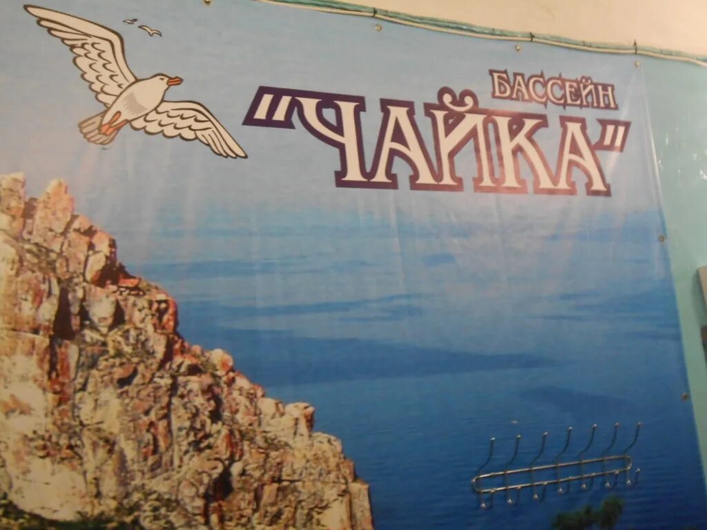 Бассейн чайка усолье-сибирское. Schwimmen (2018) на пьедестале. Бассейн нептун усолье. Бассейны усолье-сибирское. Бассейн чайка усолье.