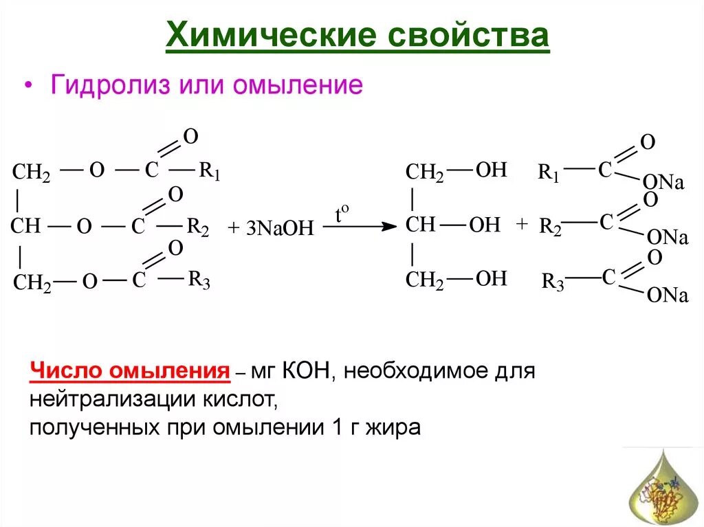 Характерные реакции жиров