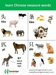 Chinese wordwall