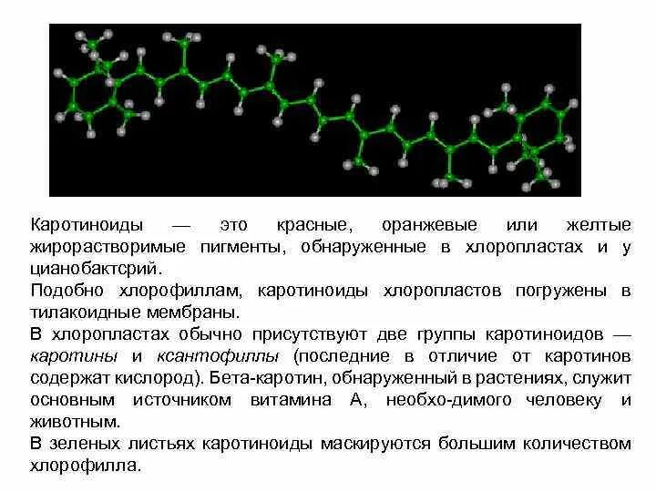 Пигмент каротиноиды. Жирорастворимые пигменты хлорофилл. Хлорофилл и каротиноиды. Каротиноиды фотосинтез. Каротиноиды в хлоропластах.