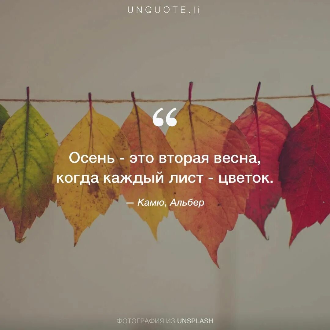 Осень - это СОН - стихотворение поэта