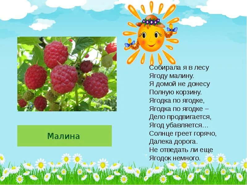 Песня ягода малинка словами на русском. Стих про малину. Стихи про летние ягоды. Стих про малину для детей. Лето ягоды стихи.