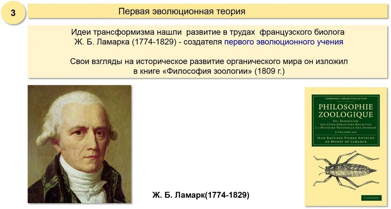 Первой эволюционной теорией является. История развития теории эволюции. Первая теория эволюции. Развитие эволюционных идей. История развития эволюционных идей.