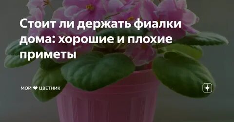 Ли держать дома приметы
