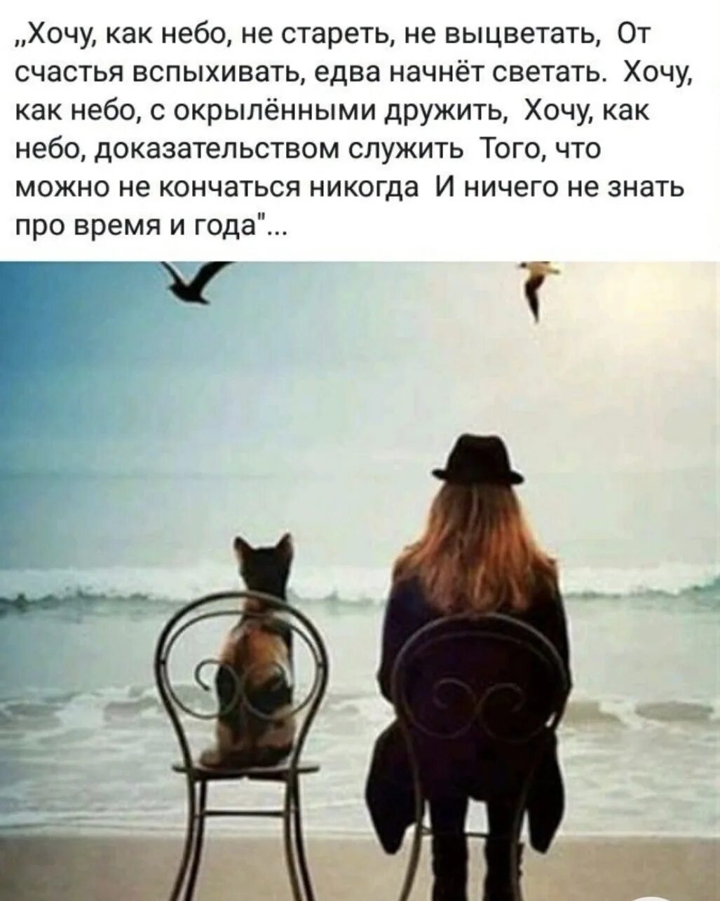 Осим хаим перевод. Осим хаим перевод
