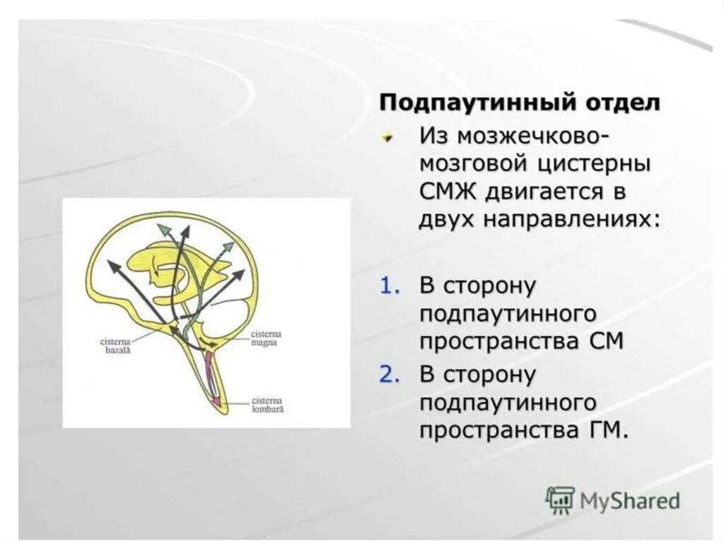 Пространство непосредственно. Цистерны подпаутинного пространства головного мозга. подпаутинные цистерны анатомия. подпаутинное пространство головного мозга анатомия. цистерны подпаутинного пространства анатомия.