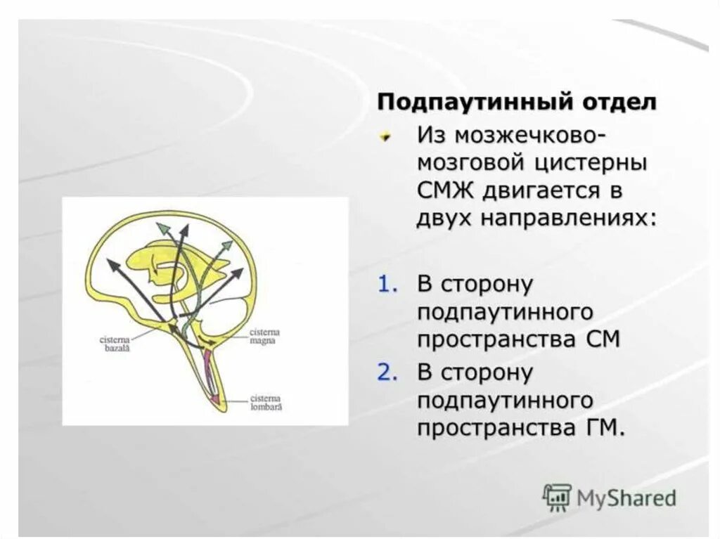 Цистерны мозга расширены. Цистерны подпаутинного пространства головного мозга. Базальные цистерны головного мозга. Цистерны мозга анатомия мрт. Базальные цистерны головного мозга кт.