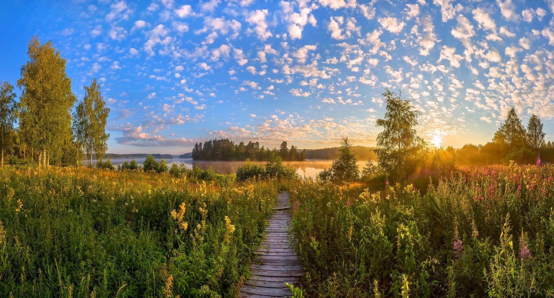 Природа карелии ладожское озеро. Красоты ленинградской области. Ленинградская область красоты. Всеволожский район ленинградской природа. Ястребиное озеро ленинградская.