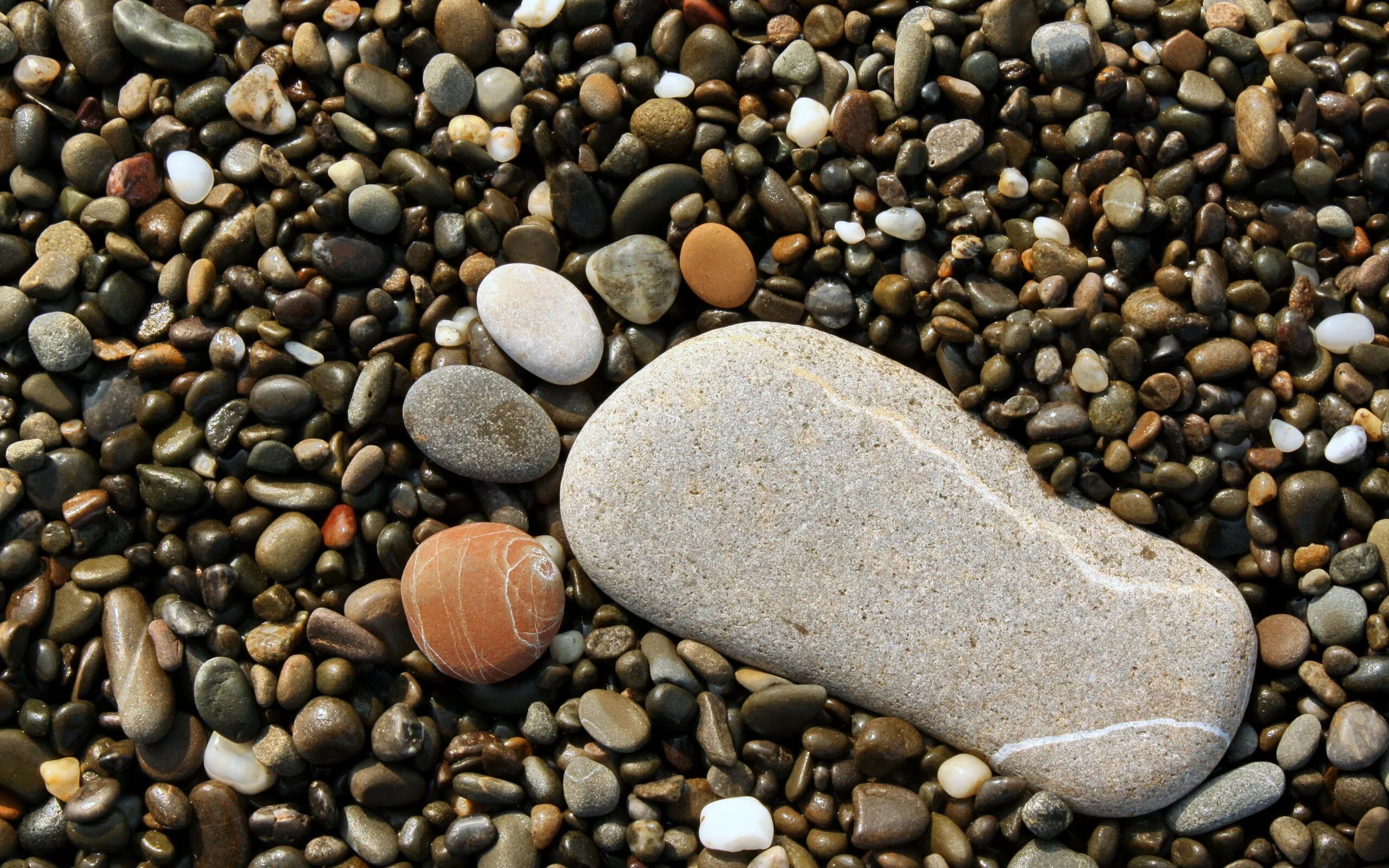 Крупная галька. Морские камни. Морская галька. Красивые камушки. Усеянном гальками