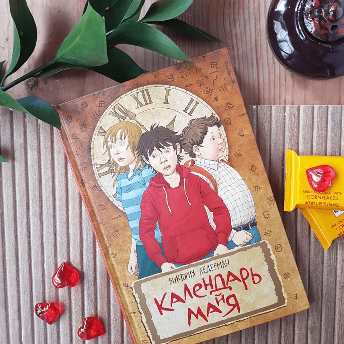 Седьмой отряд читать. Ледерман василькин д седьмой отряд. книга седьмой отряд.