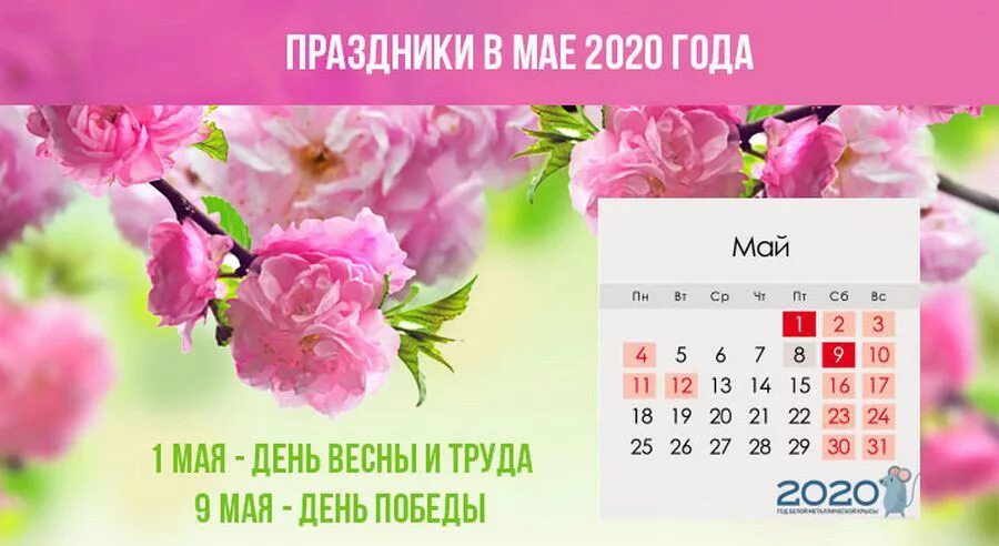 Изменения в мае 2020. Майские праздники. Праздники в мае. Выходные в мае. Режим работы в майские праздники.