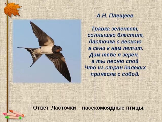 Травка зеленеет солнышко блестит стих полностью. Плещеева Ласточка. Ласточка Плещеев стихотворение. Стихотворение Плещеева Ласточка. Стихотворение а. Плещеева Ласточка с весною.