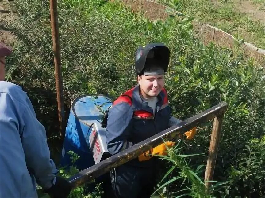 Работа на час волгоград