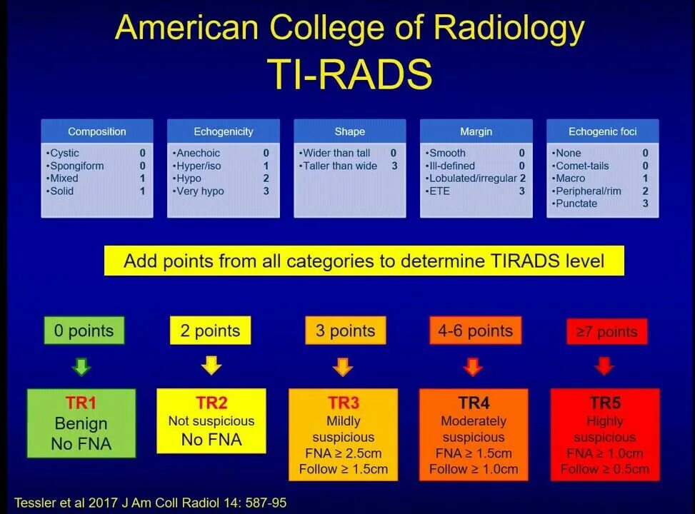 Ti rads что это значит. Шкала Tirads. Tirads классификация. Tirads 4. Tirads таблица.