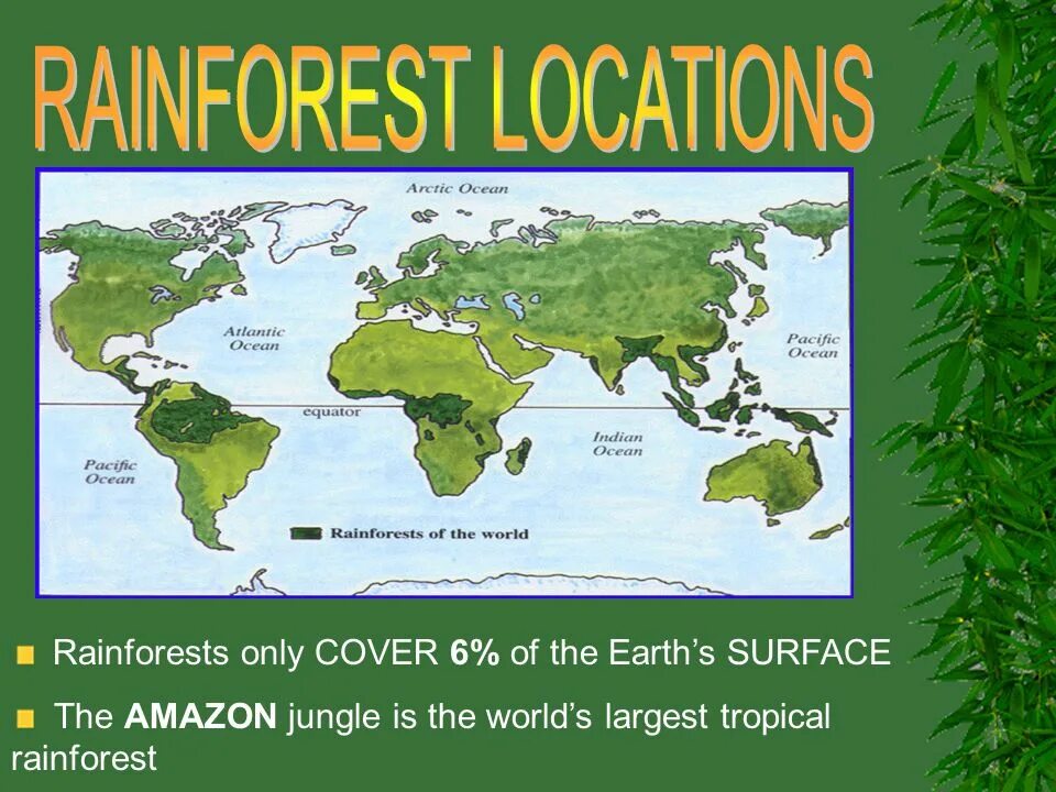 Быть спасенным английский. Организации Rainforest. Всемирный день тропического леса (World Rainforest Day) 22 июня. Save Tropical Rainforest. Tropical Rainforest Biome location.