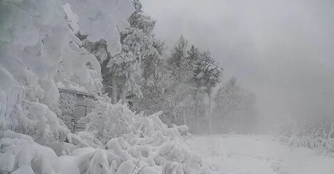 После 11 зима