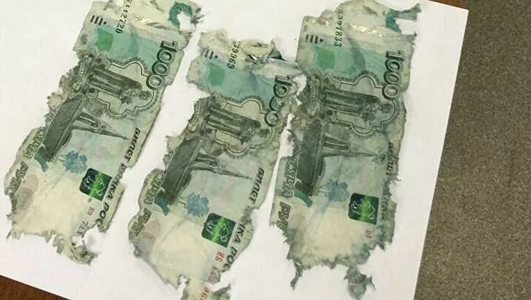 Купюра 1000р. Порванные 1000 рублей. Рваная тысяча рублей. Порванный 1000 рублей. Рваная тысяча рублей.